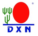 dxn maroc